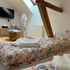 https://mezonet-svitkov-21.spindleruvmlyn-hotels.com