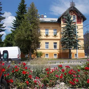 https://villa-konig.marianskelaznehotels.net